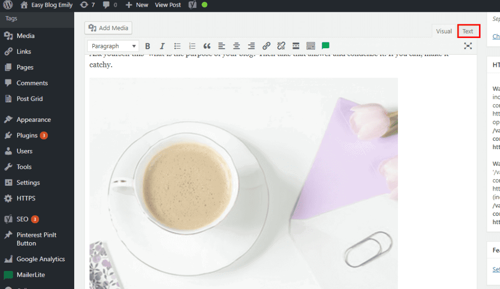 How to add secret images to your blog posts to get more traffic. Click 'text' tab. 