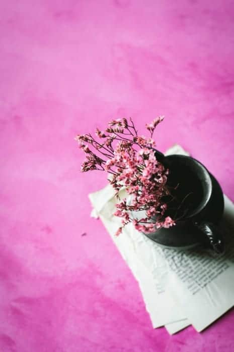 Flowers on pink background
